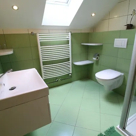 Πανσιόν Wellness Na Kamyncu 3*