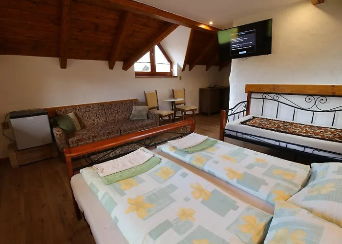Wellness Na Kamyncu 3* Jablunkov